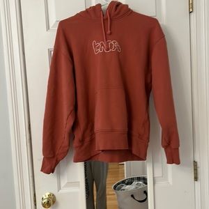 Aritzia tna boyfriend hoodie
